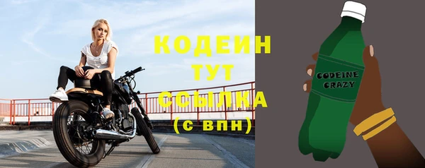 тгк Бородино