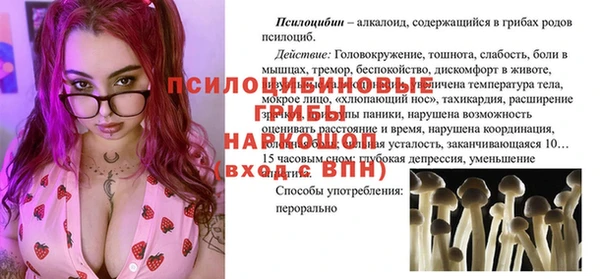 тгк Бородино