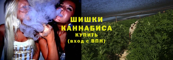 тгк Бородино